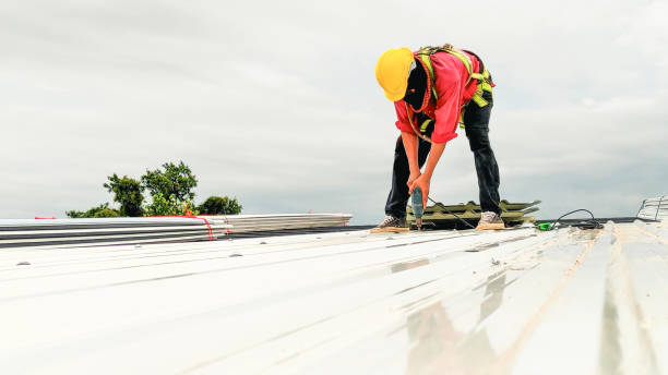 Best Solar Panel Roofing Installation  in Avodo Heights, CA
