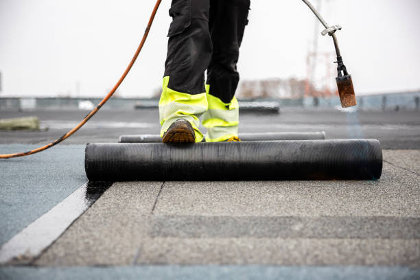 Best Roof Moss and Algae Removal  in Avodo Heights, CA