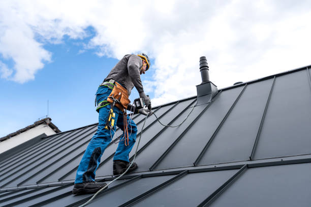 Best Roof Ventilation Installation  in Avodo Heights, CA