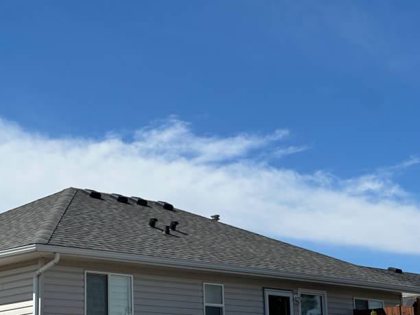 Best Rubber Roofing (EPDM, TPO)  in Avodo Heights, CA